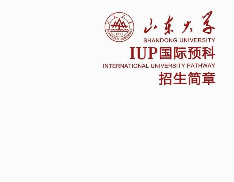 山東大學(xué)國際預(yù)科招生簡章